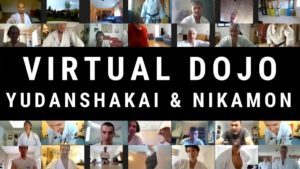 Virtual Dojo Karate Do Training
