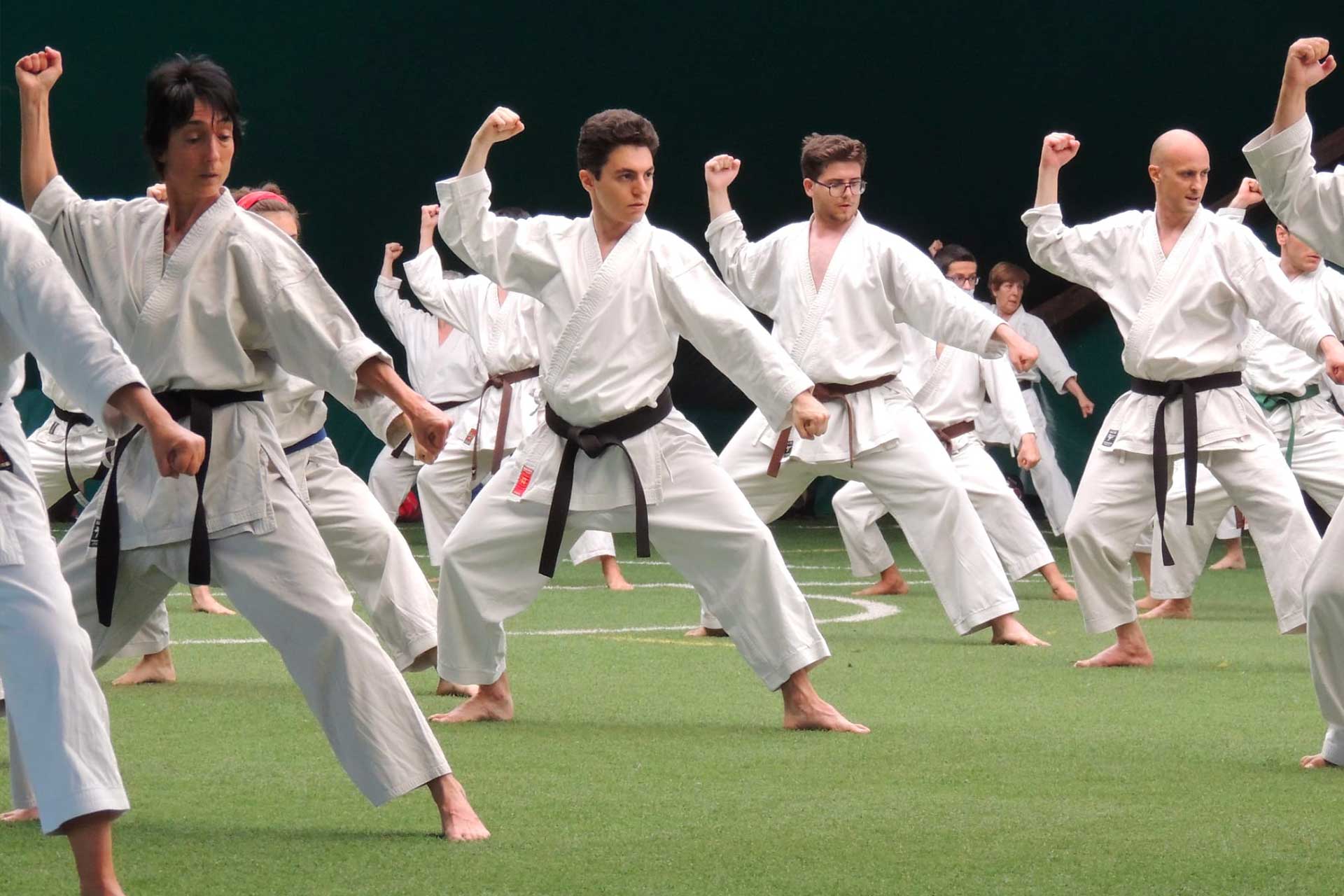 Nikamon Karate Milano - Corsi per ragazzi e adulti