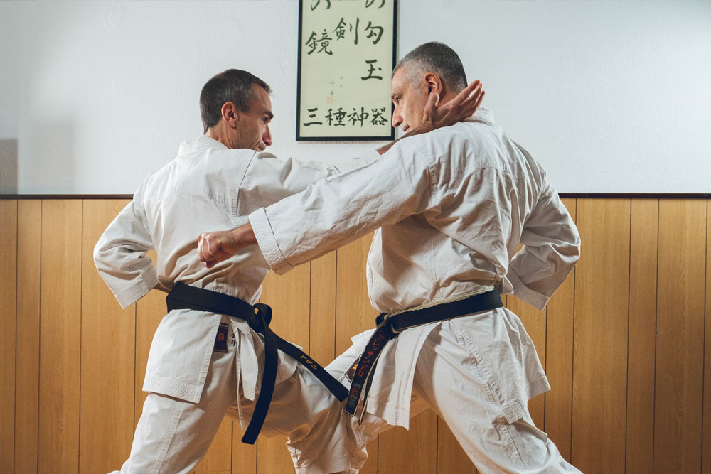Nikamon - Karate online
